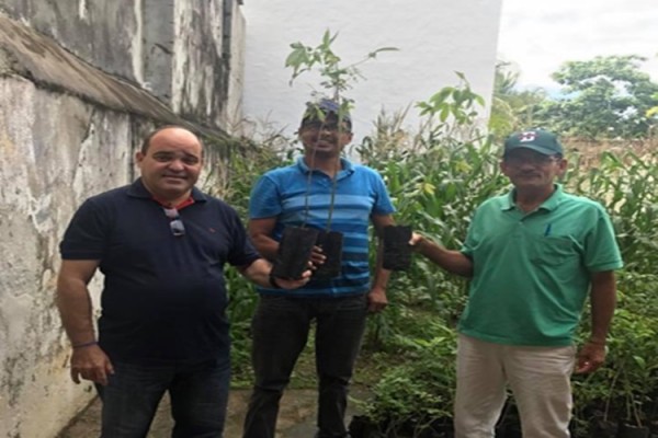 Projeto do Cpac " Arborizando os Municípios " em Ribeirópolis/SE