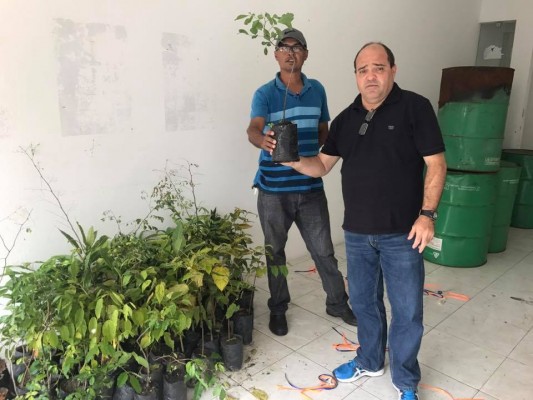 Entrega de Mudas ao Município de Ribeirópolis SE